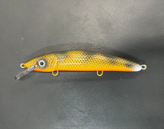 Double Nickel Walleye - Orange Belly - 9CP