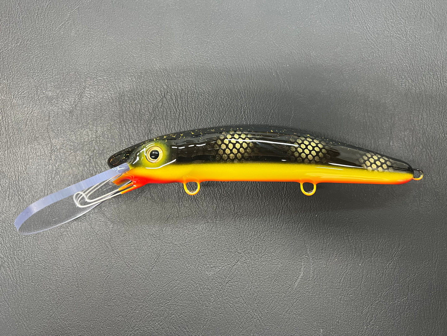 Black Perch - Orange Stripe - 9X