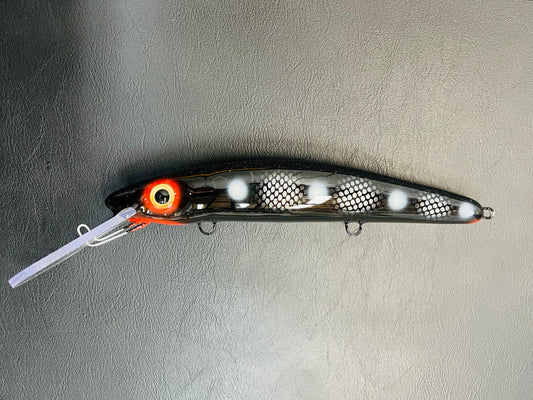 Imposter Perch - Black Belly - 12H