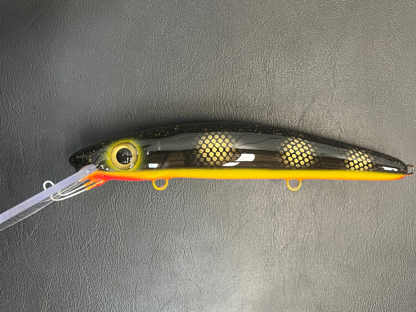 Black Perch - Orange Belly - 12H