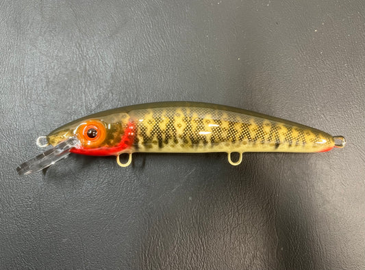 $9 Bass (Brown) - Cream Belly - 9CP