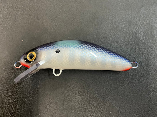 Shimmering Shad - Pearl Belly - 6SC