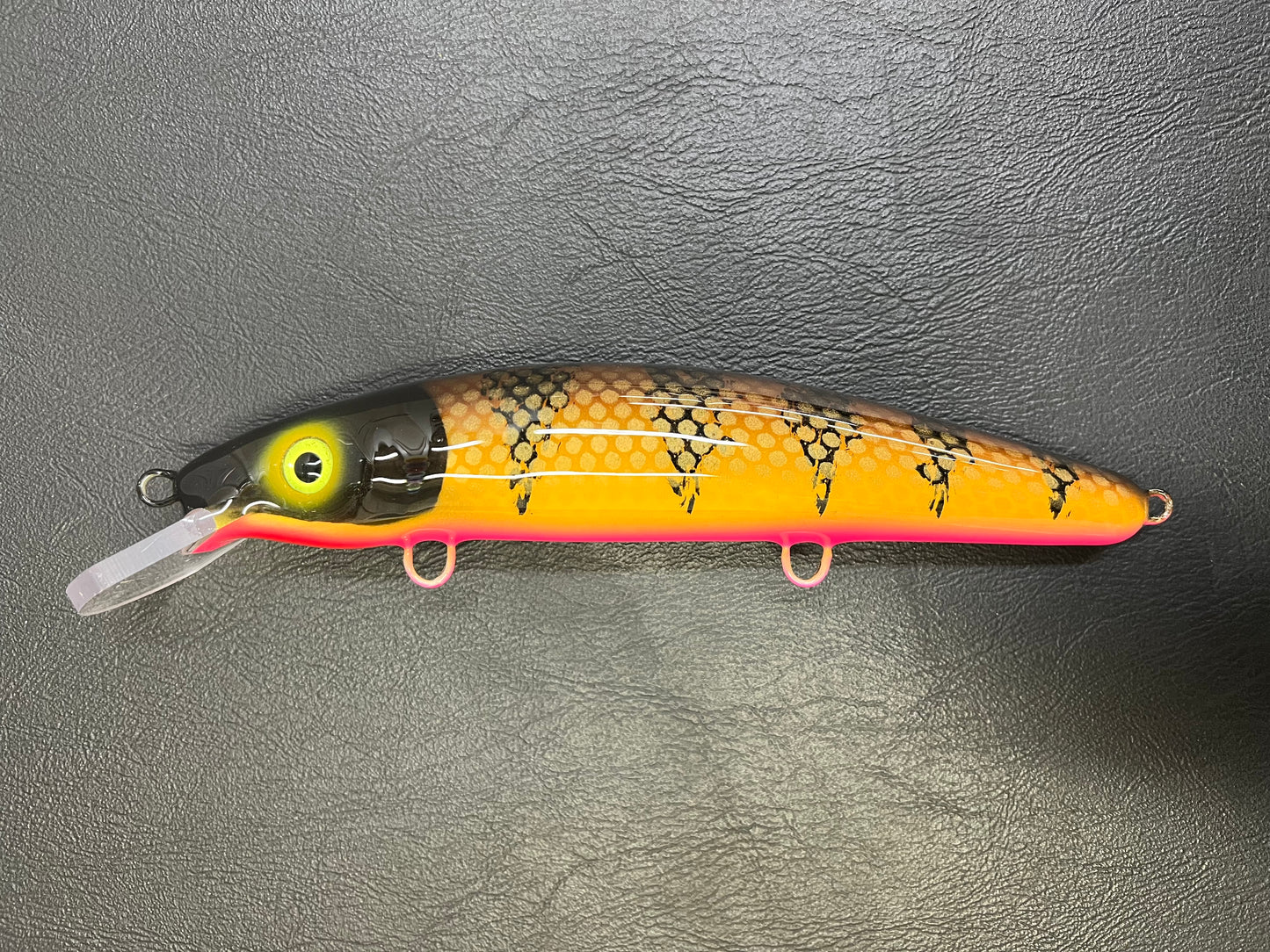 Brown Perch - Pink Belly - 9C