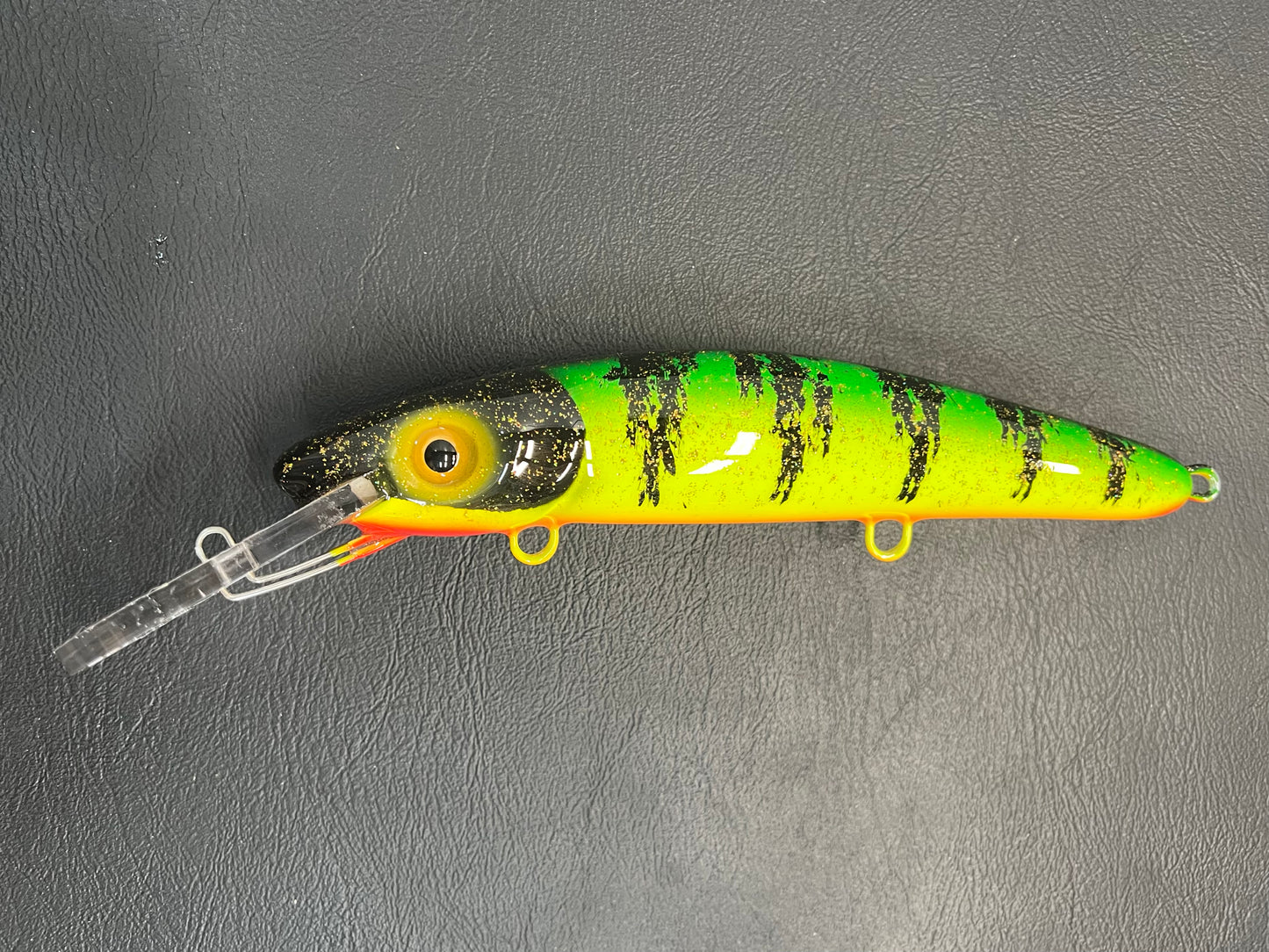 Glitter Perch - Orange Belly - 9H