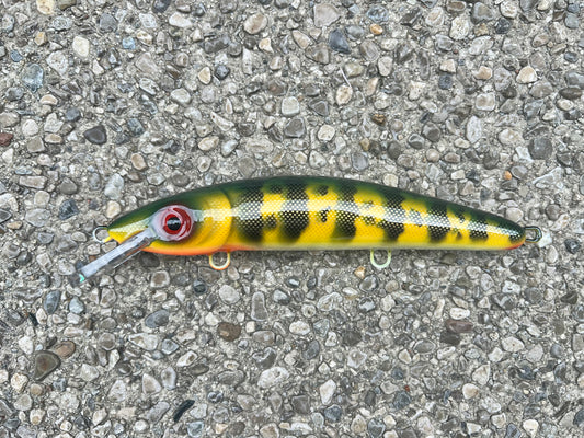 Natural Perch - White Belly - 9CP