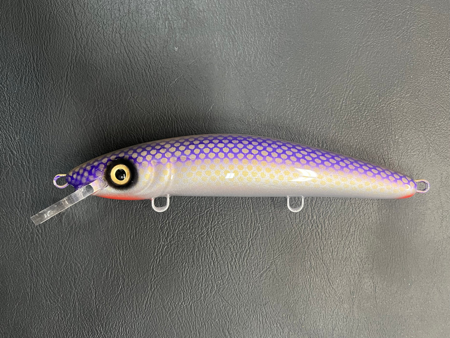 Finlander Cisco - Silver Belly - 9CP