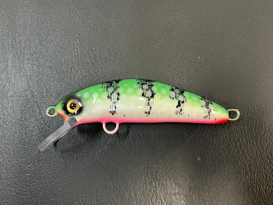 Sea Foam Perch - Pink Belly - 5SC