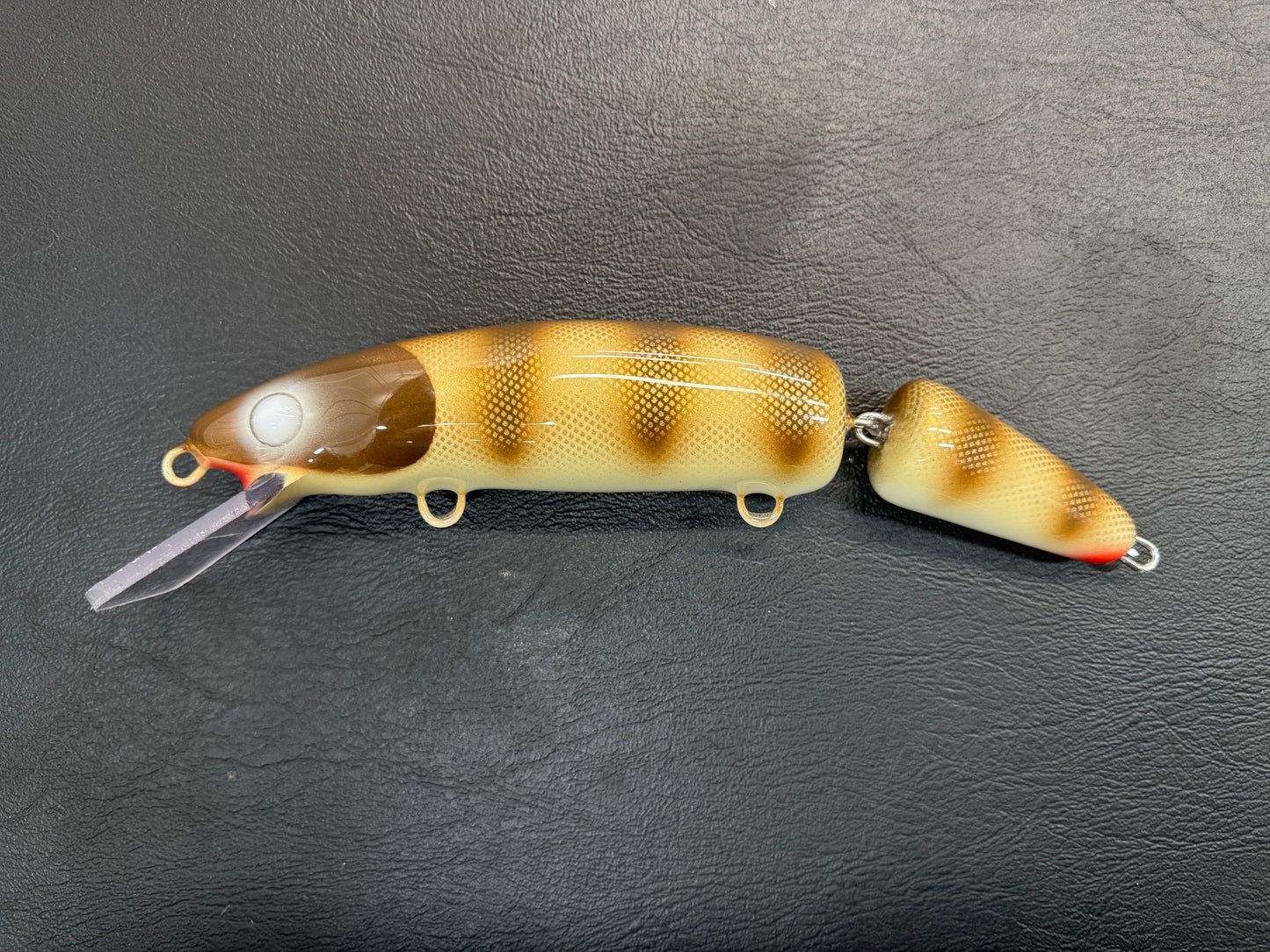 Brown Pike Scale - Cream Belly - 9JC