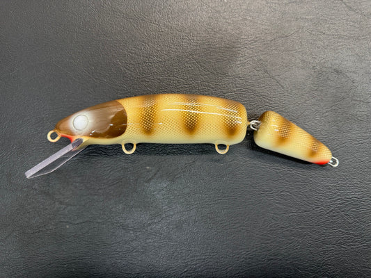 Brown Pike Scale - Cream Belly - 9JC
