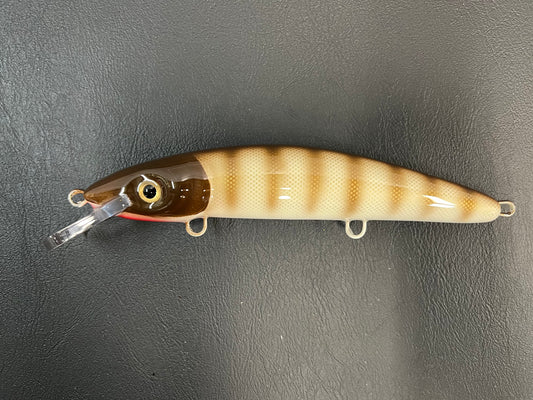 Brown Pike Scale - Cream Belly - 9CP