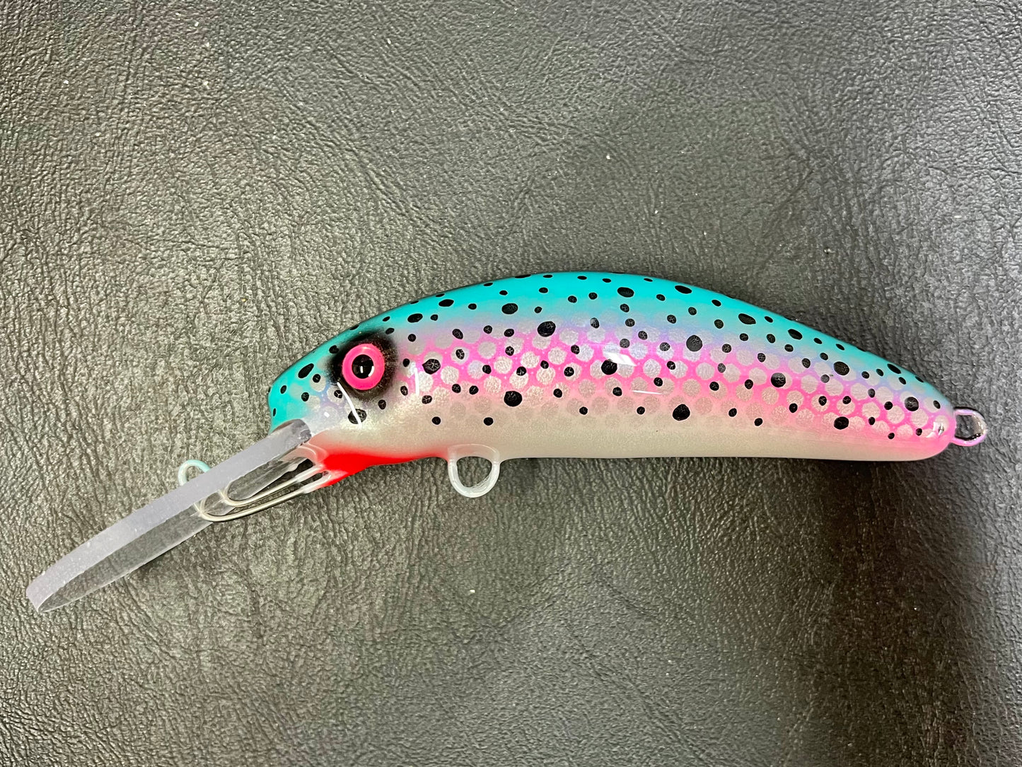 Niagara Rainbow Trout - Pearl Belly - 6FH