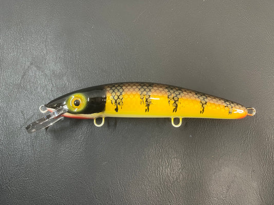 Brown Perch - White Belly - 9CP