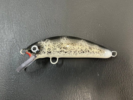 Black Walleye - White Belly - 5SC