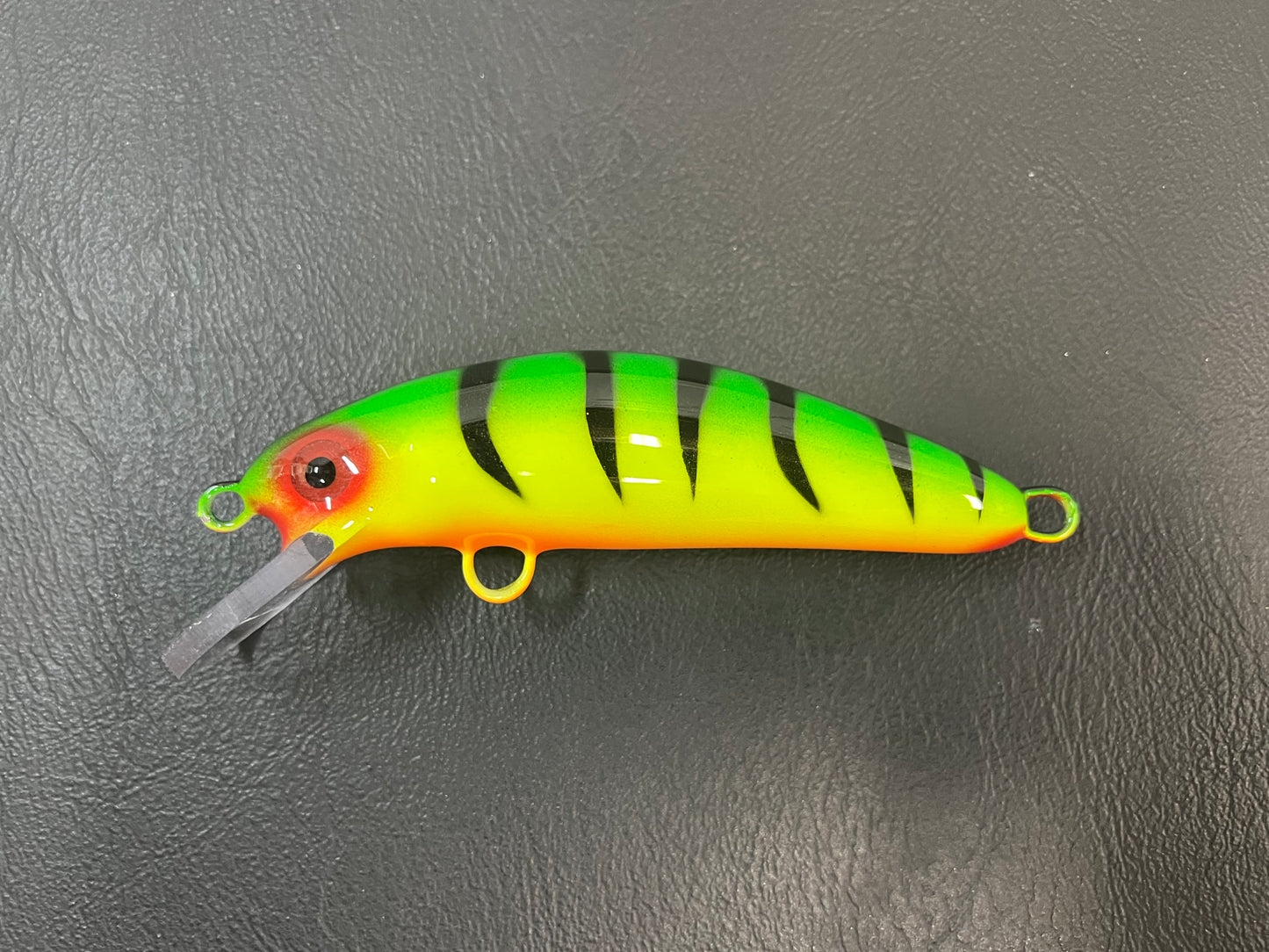 Fire Tiger - Orange Belly - 5SC
