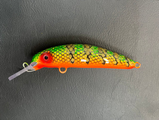Sinister Perch - Orange Belly - 6H