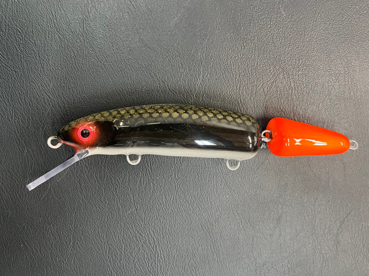 Ball Licker - Pearl Belly - 9JC