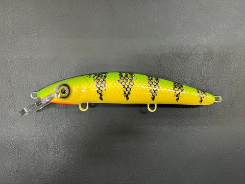 Chaulky Perch - White Belly - 9CP