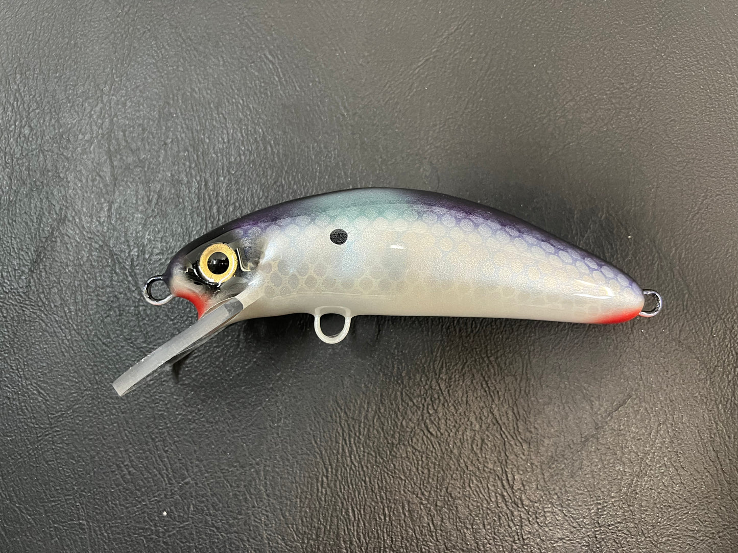 Shimmering Shad - Pearl Belly - 6DSC