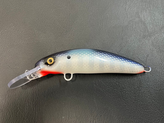 Shimmering Shad - Pearl Belly - 6H
