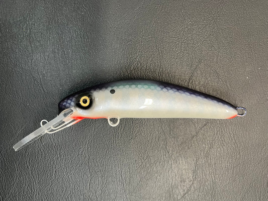 Shimmering Shad - Pearl Belly - 7H