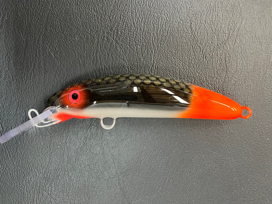 Ball Licker - Pearl Belly - 6H