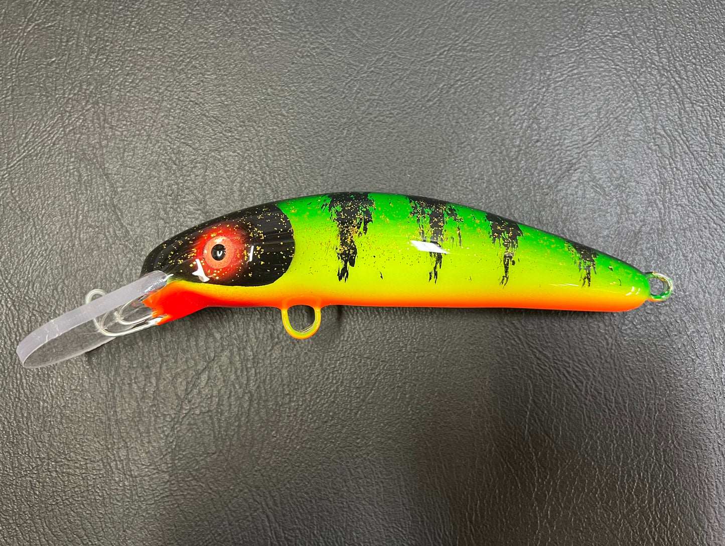 Glitter Perch - Orange Belly - 6H