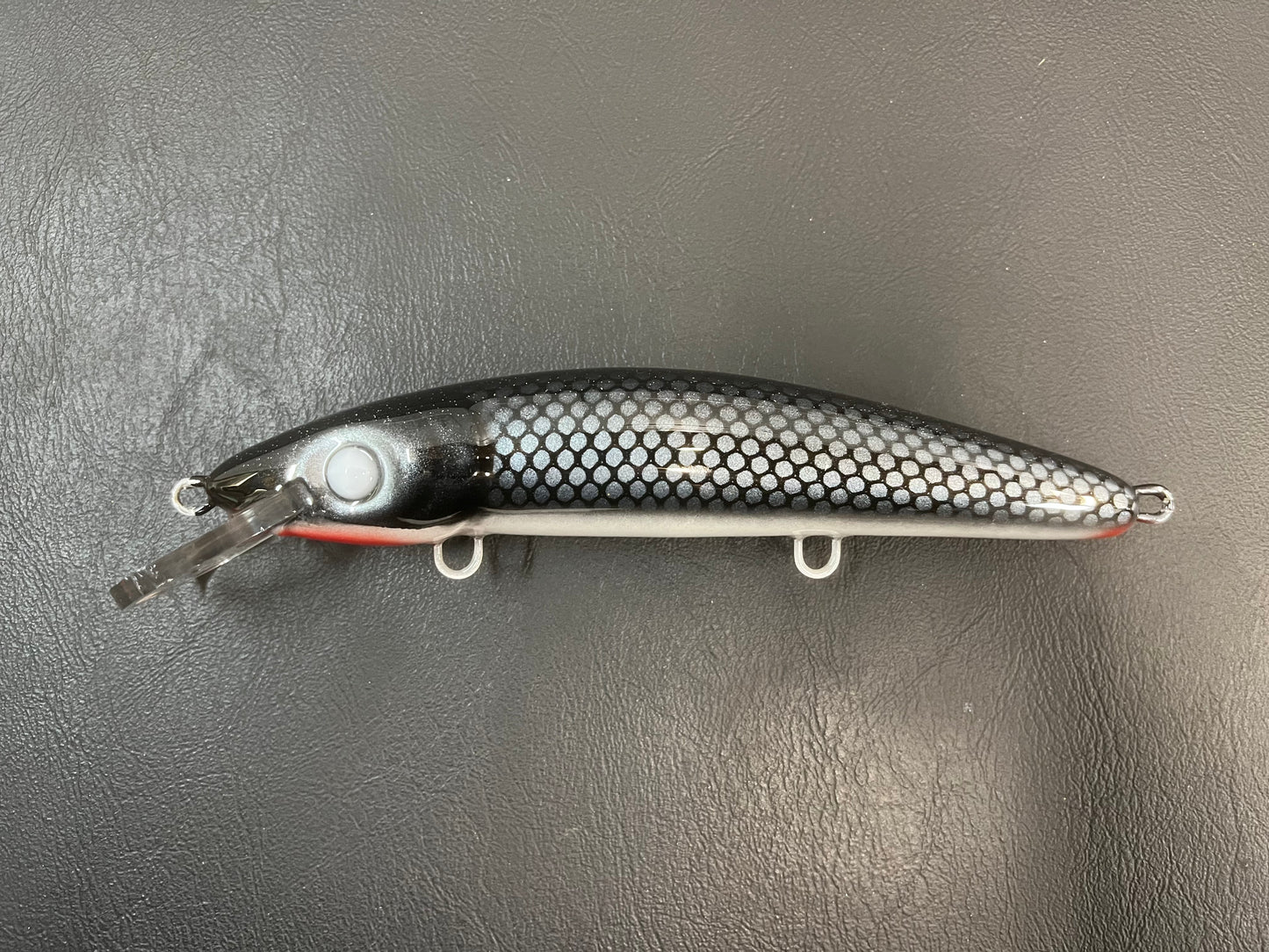 Mullet - White Belly - 9CP