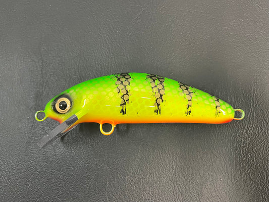 Hot Perch - Orange Belly - 6SC