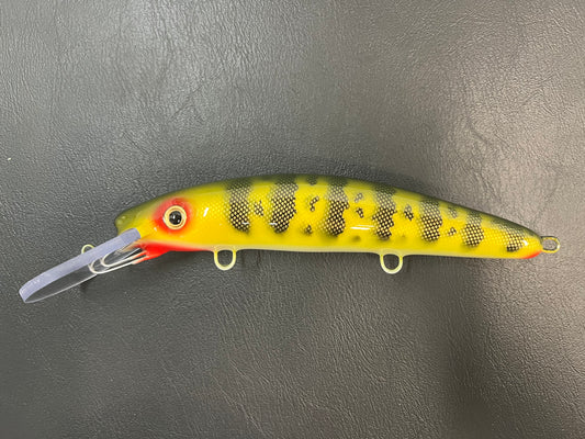 Natural Perch - White Belly - 9H