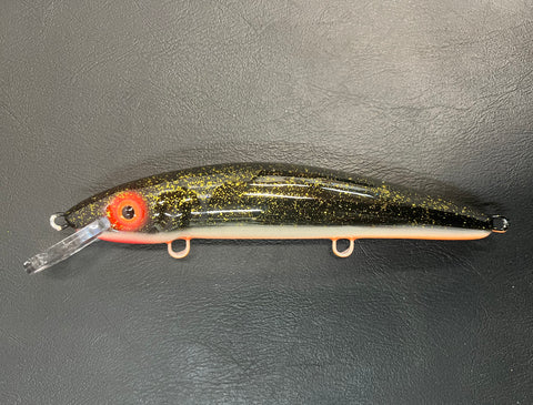 Night Shiner - Orange Belly Stripe - 9CP