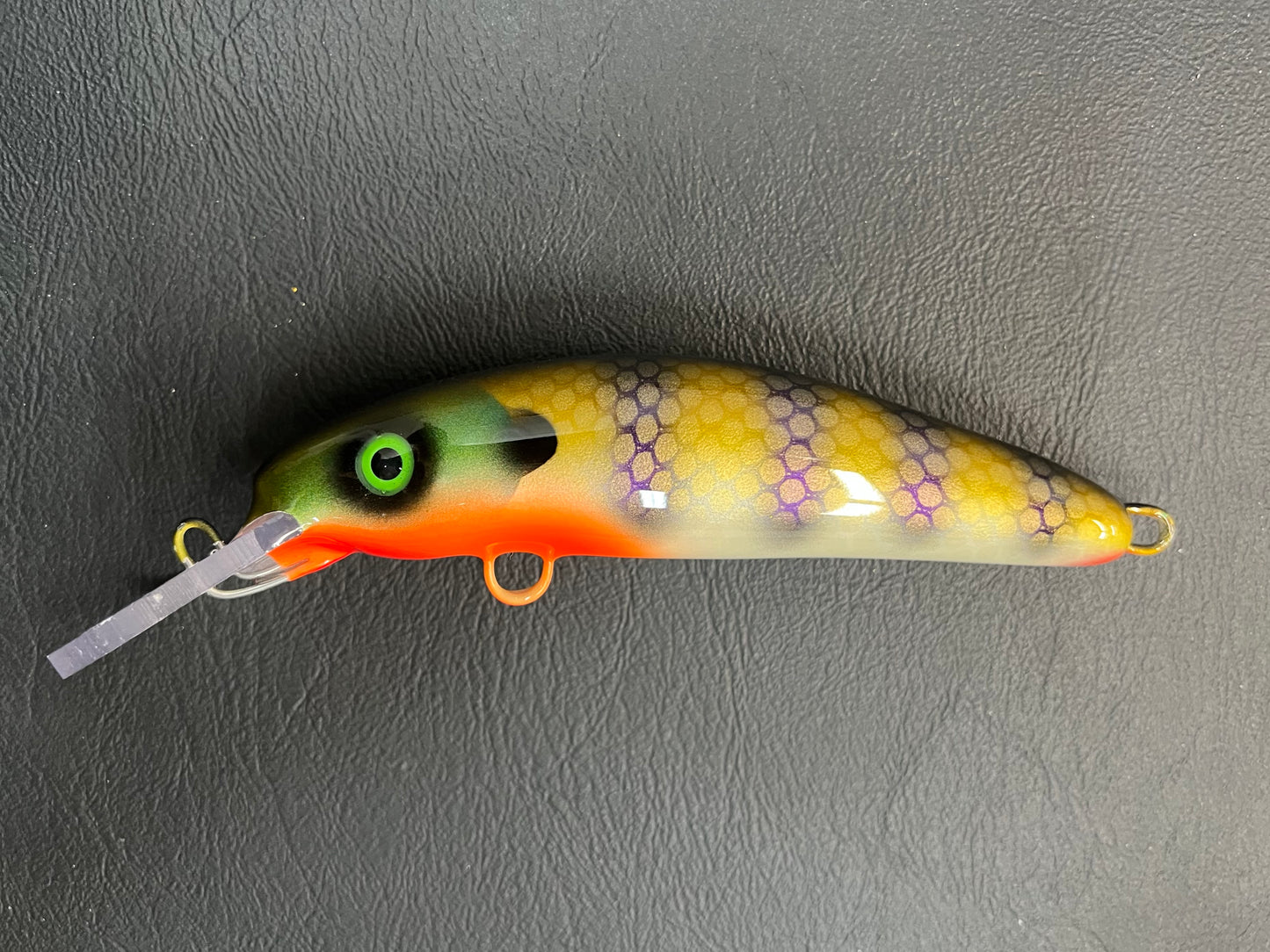 Back Bay Gill - White Belly - 6H