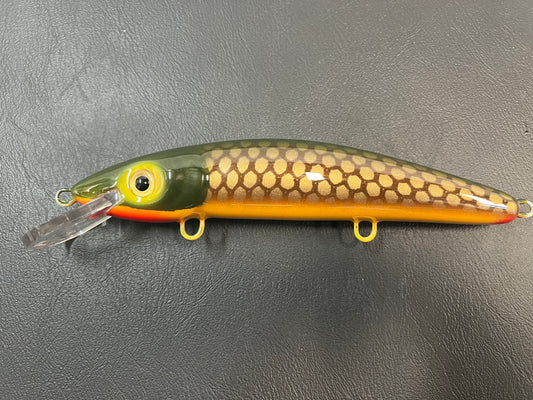 Lawton - Yellow Belly - 9CP