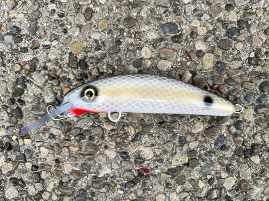 Hamrick Shad - White Belly - 6H
