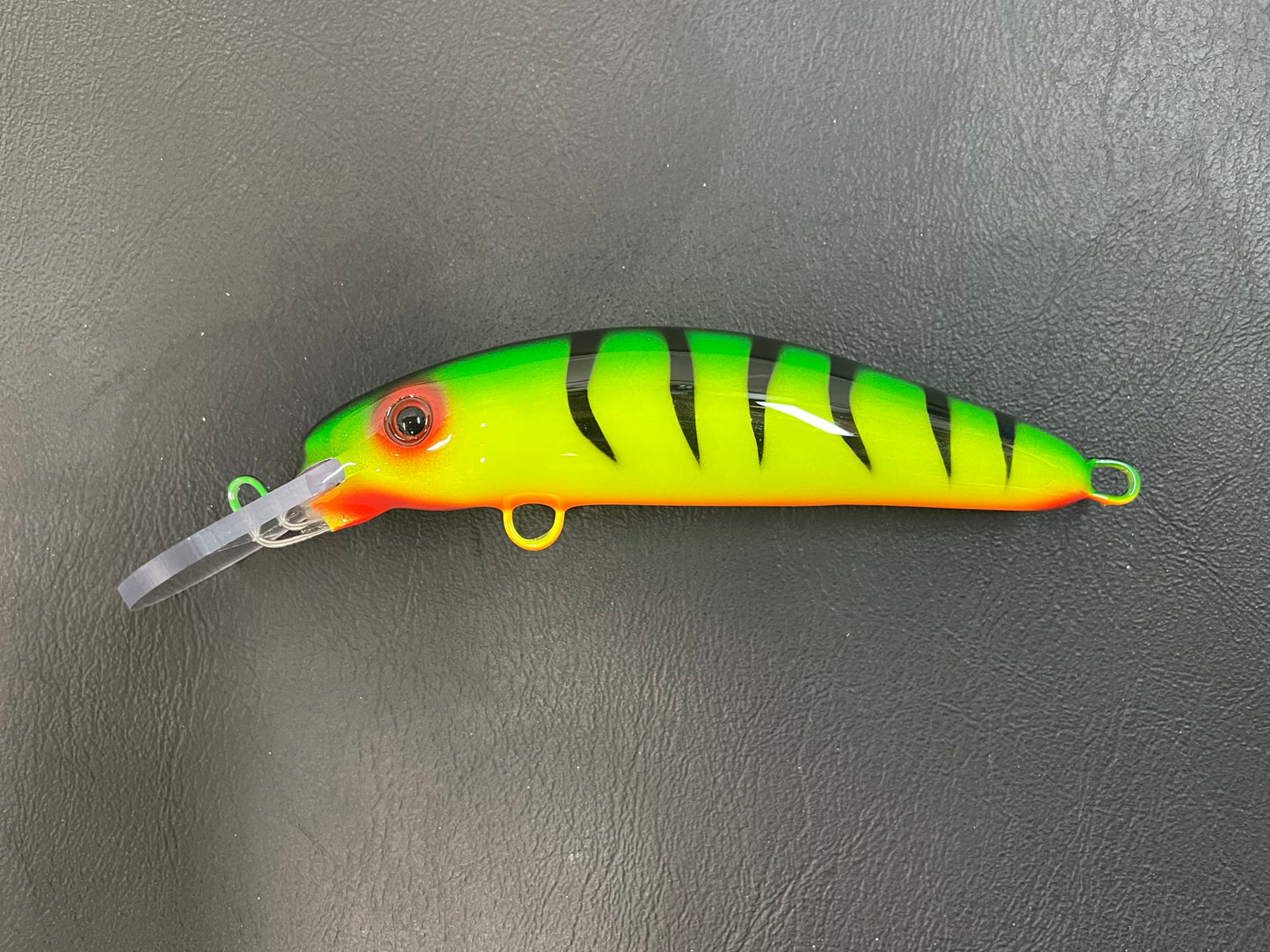 Fire Tiger - Orange Belly - 6H