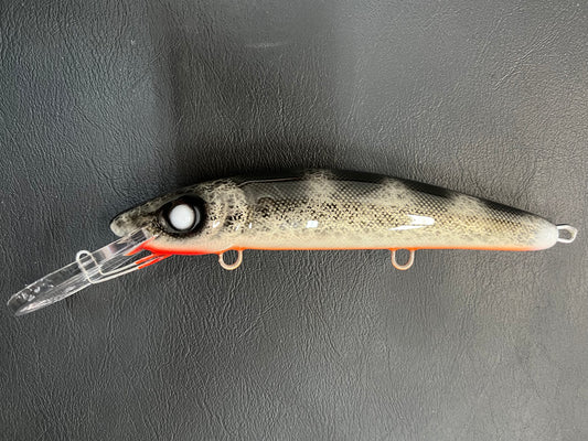 Black Walleye - Orange Belly - 9H