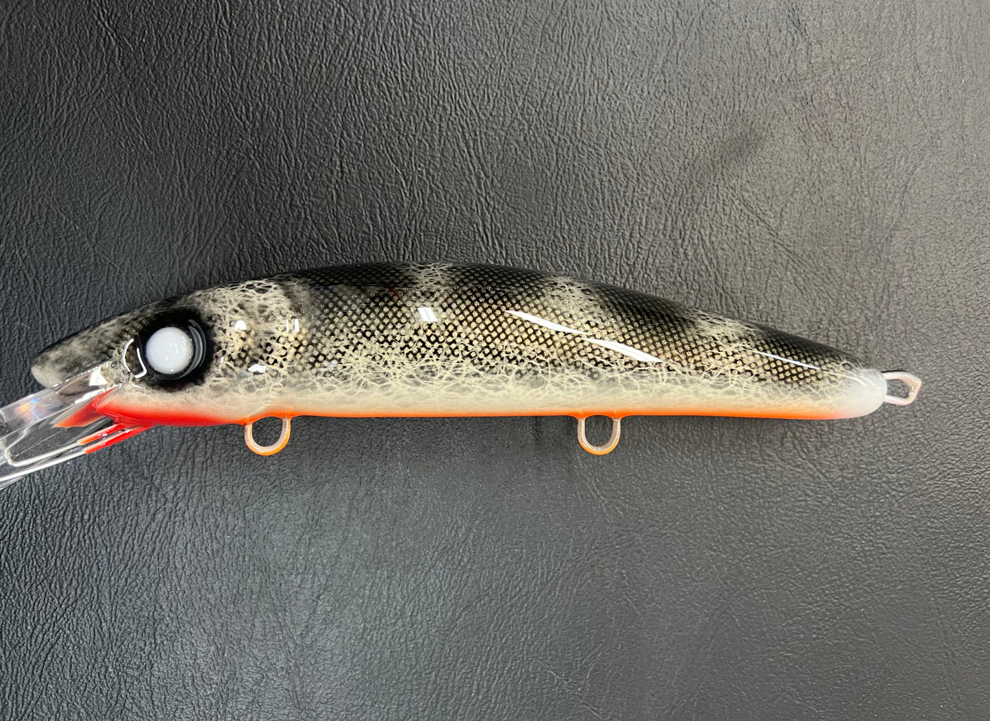 Black Walleye - Orange Belly - 9CP