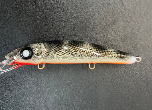 Black Walleye - Orange Belly - 9CP