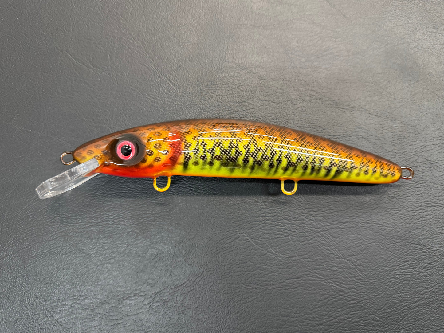 $9 Fire Bass - Orange Belly - 9CP
