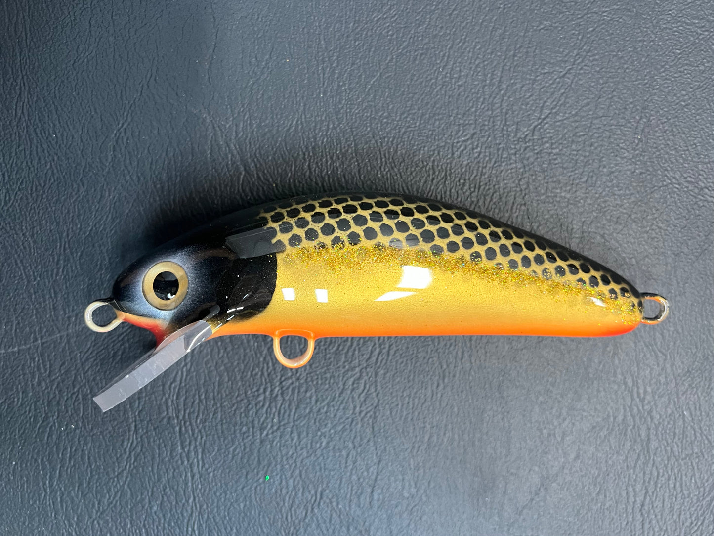 McCarthy Gold - Orange Belly - 6SC