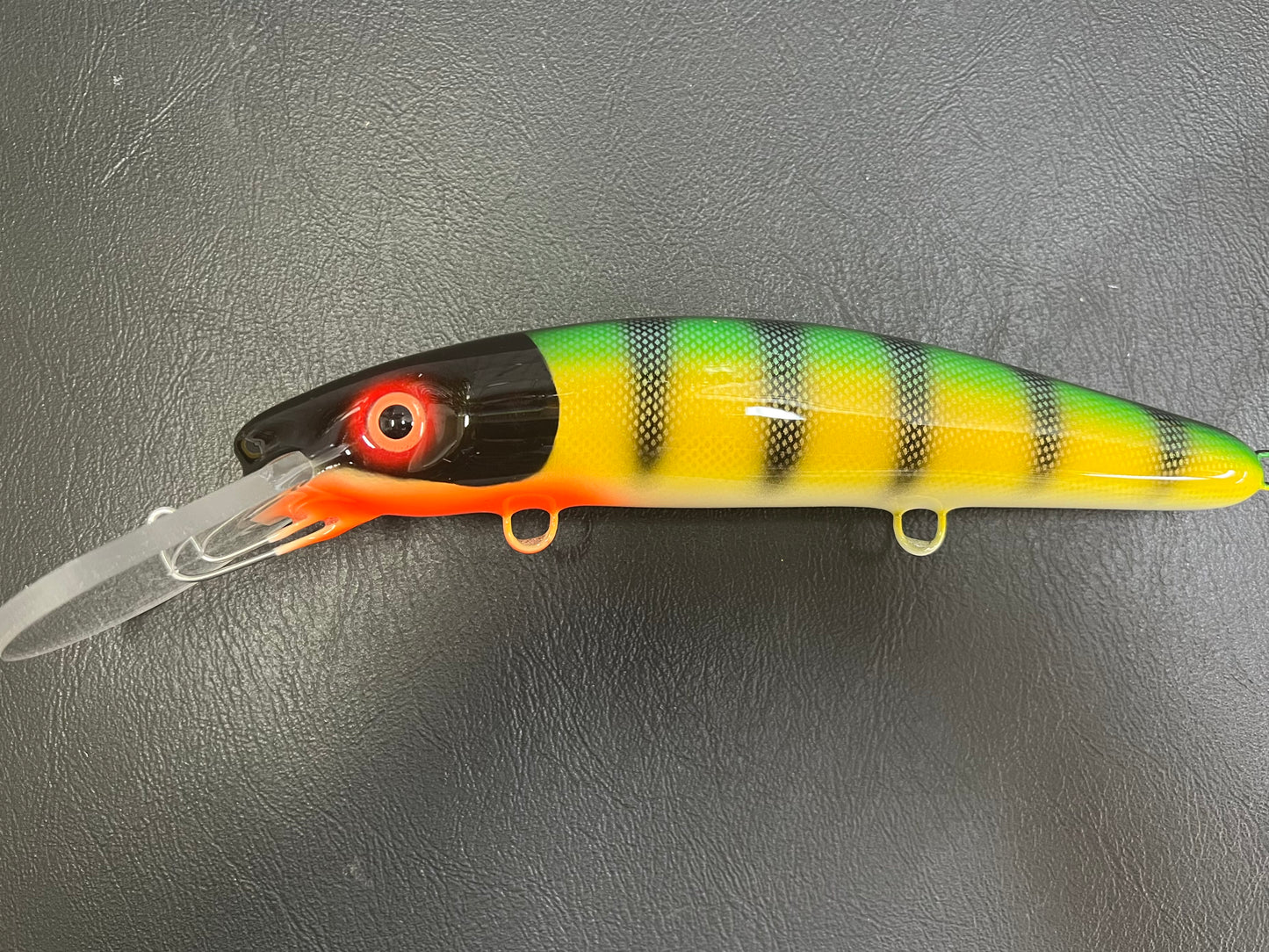 Michigan Perch - White Belly - 9H