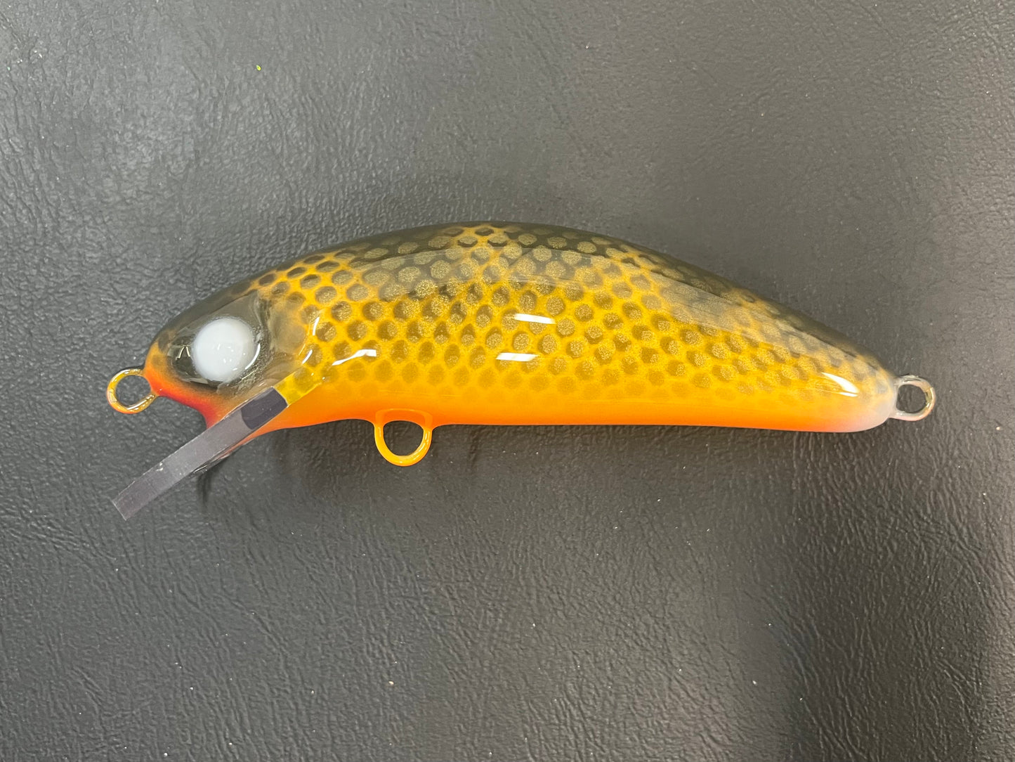 Double Nickel Walleye - Orange Belly - 6SC
