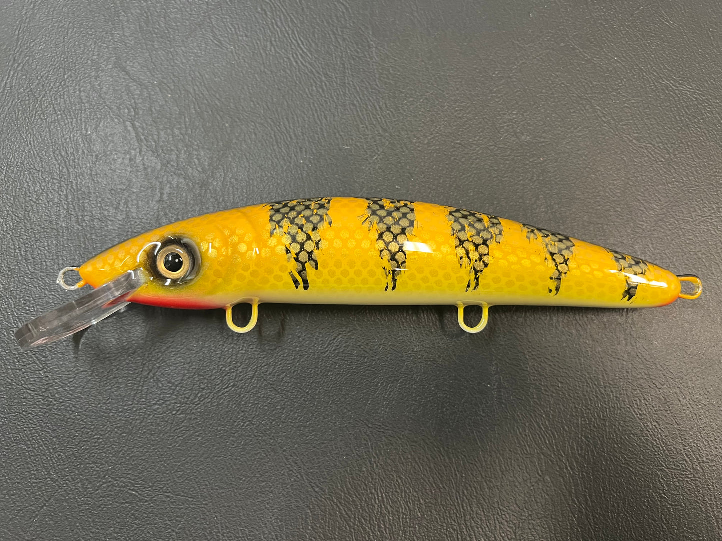 Yellow Perch - White Belly - 9CP