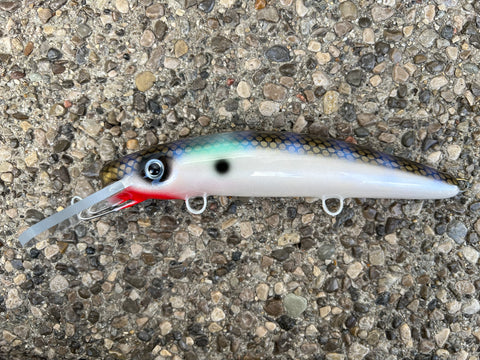 Shimmering Shad - Pearl Belly - 9H