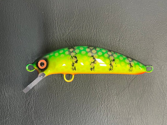 Green Bay Perch - Orange Belly - 5SC