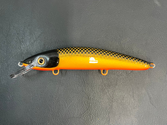 McCarthy Gold - Orange Belly - 9CP