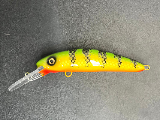 Chalky Perch - Orange Belly - 7H