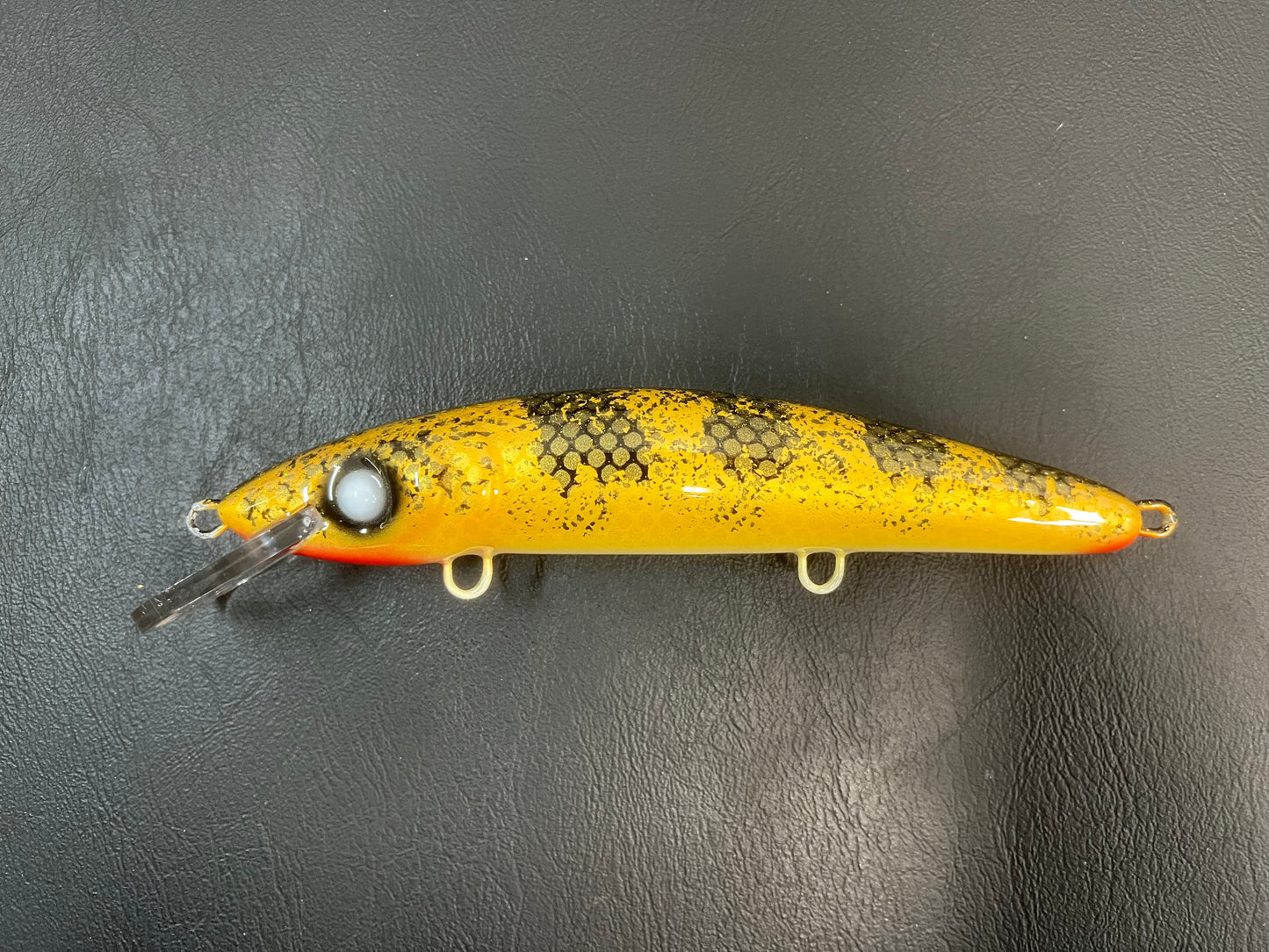 Golden Walleye - Pearl Belly - 9CP
