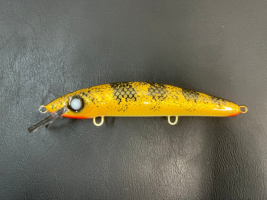 Golden Walleye - Pearl Belly - 9CP