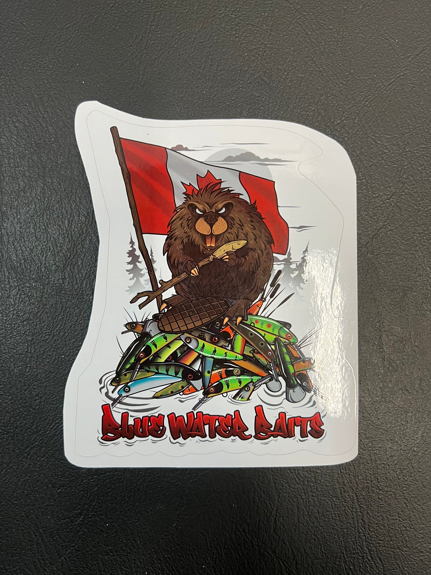 Beaver Big Sticker 6”x6”