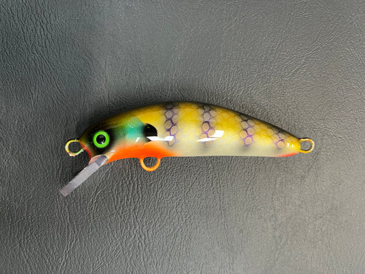 Back Bay Gill - Pearl Belly - 5SC